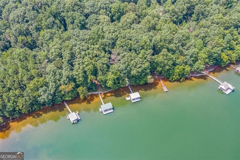 294 Lakeshore Drive Lavonia - 34