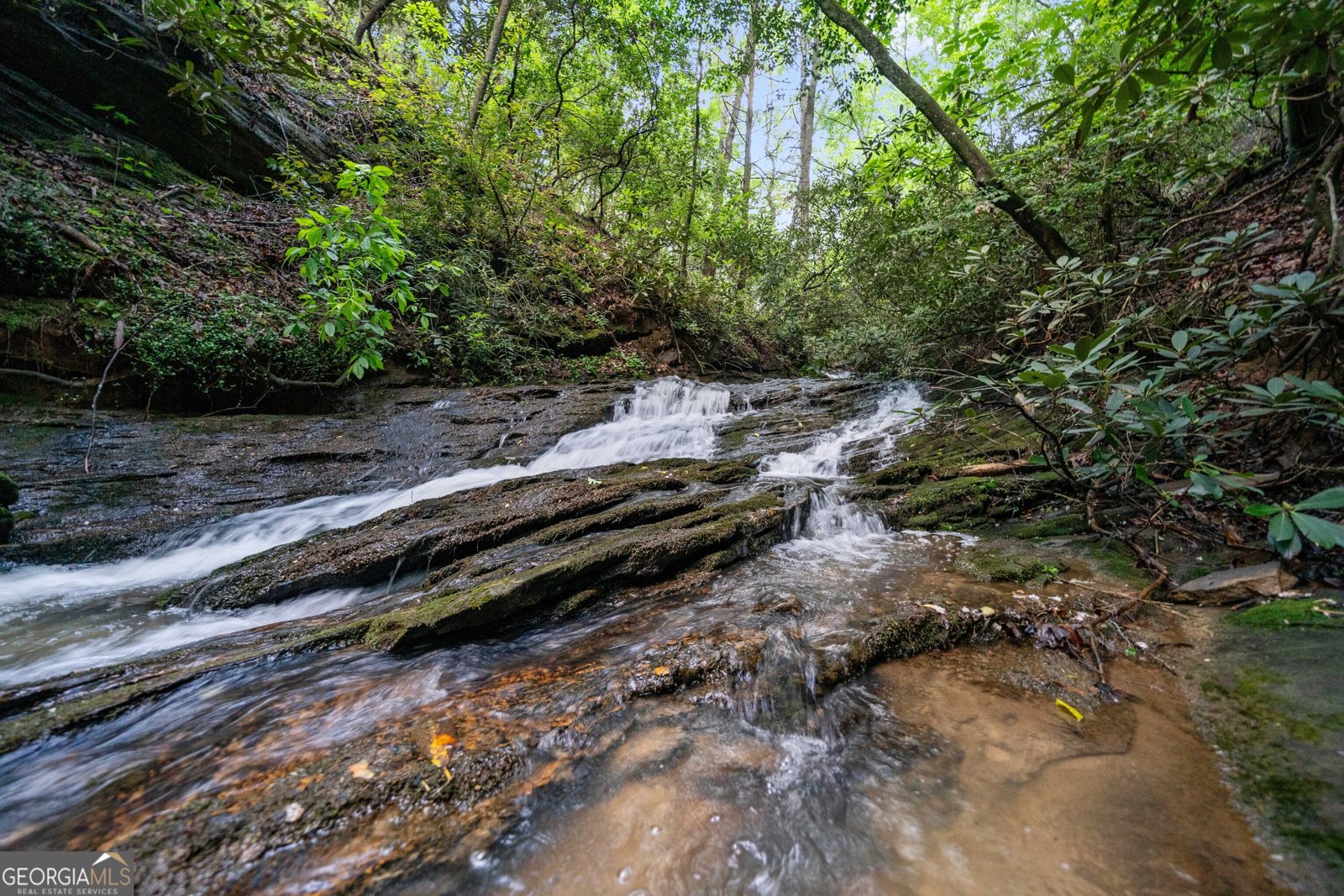 1447 Travis Smith Road Clarkesville - 10