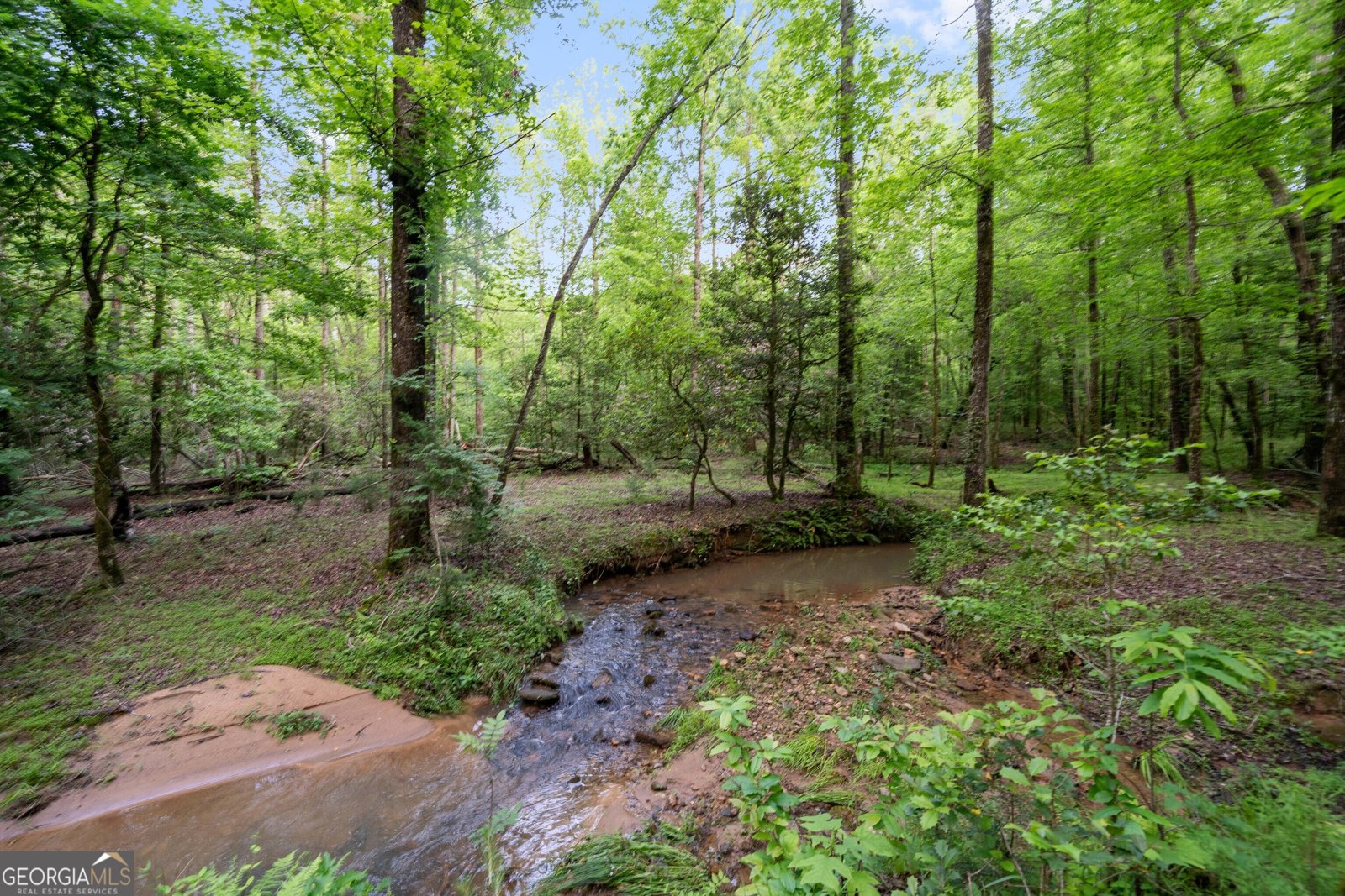 1447 Travis Smith Road Clarkesville - 11