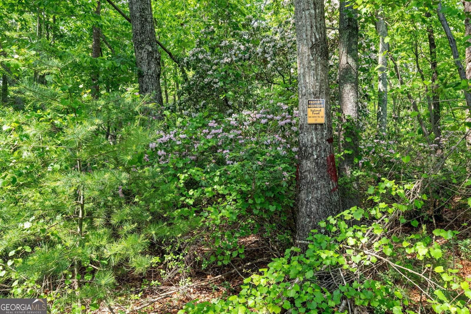 1447 Travis Smith Road Clarkesville - 12