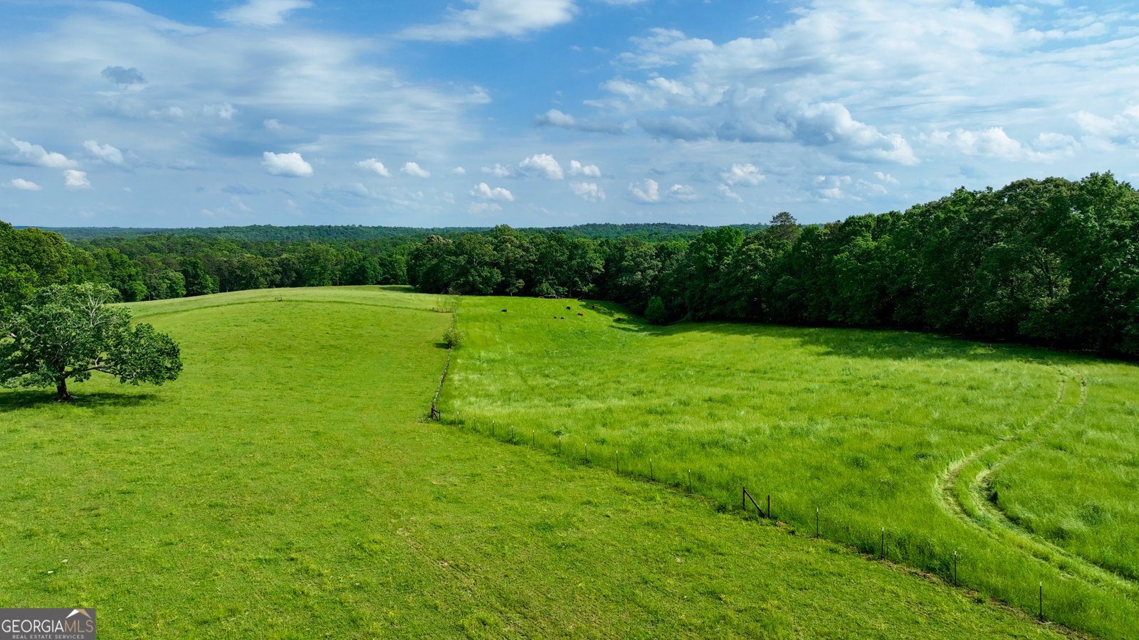 1447 Travis Smith Road Clarkesville - 4