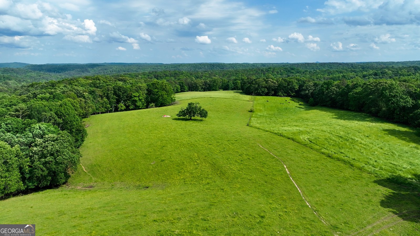 1447 Travis Smith Road Clarkesville - 71