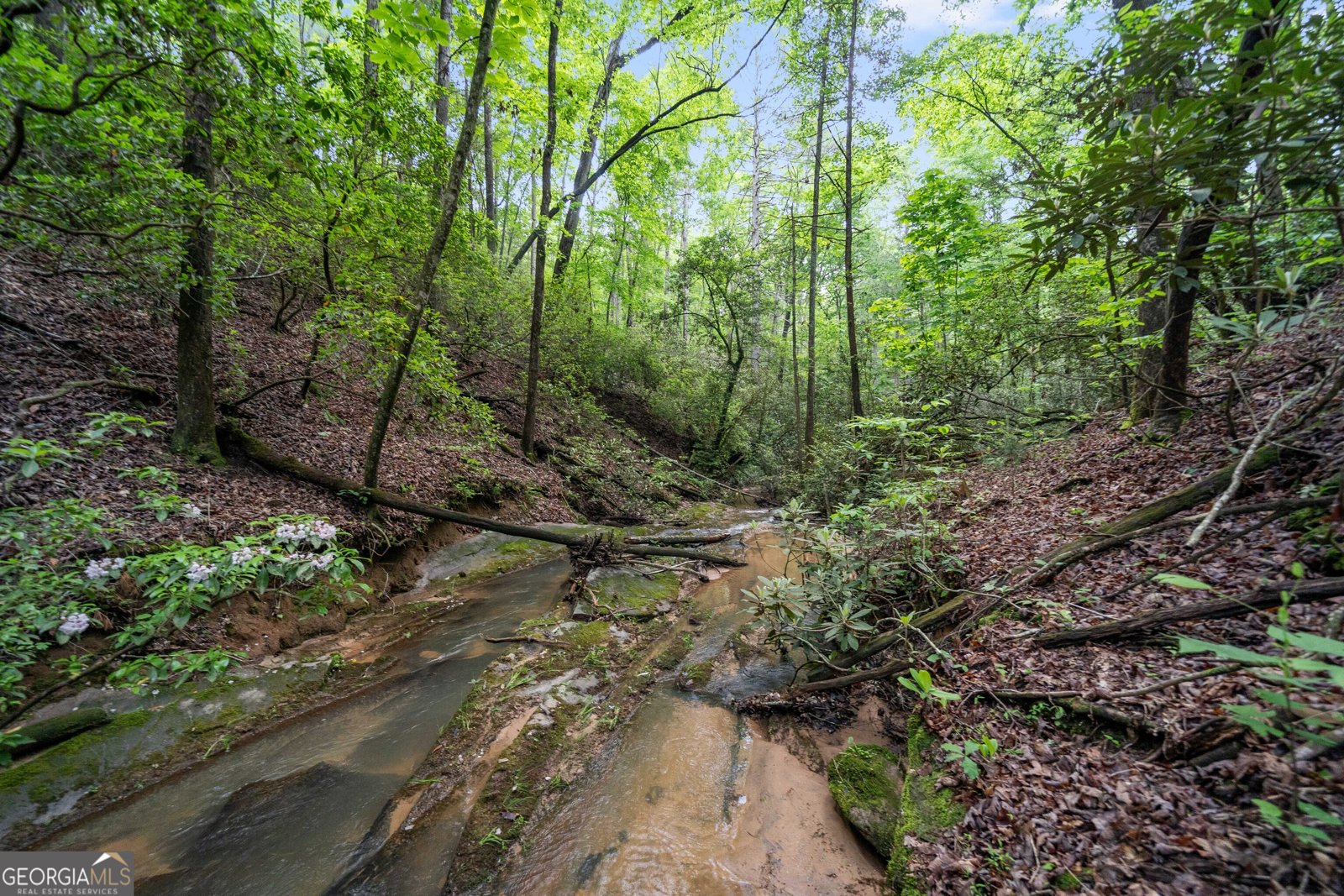 1447 Travis Smith Road Clarkesville - 72