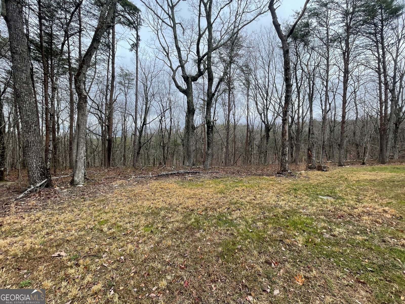 400 Mulberry Circle Jasper - 90
