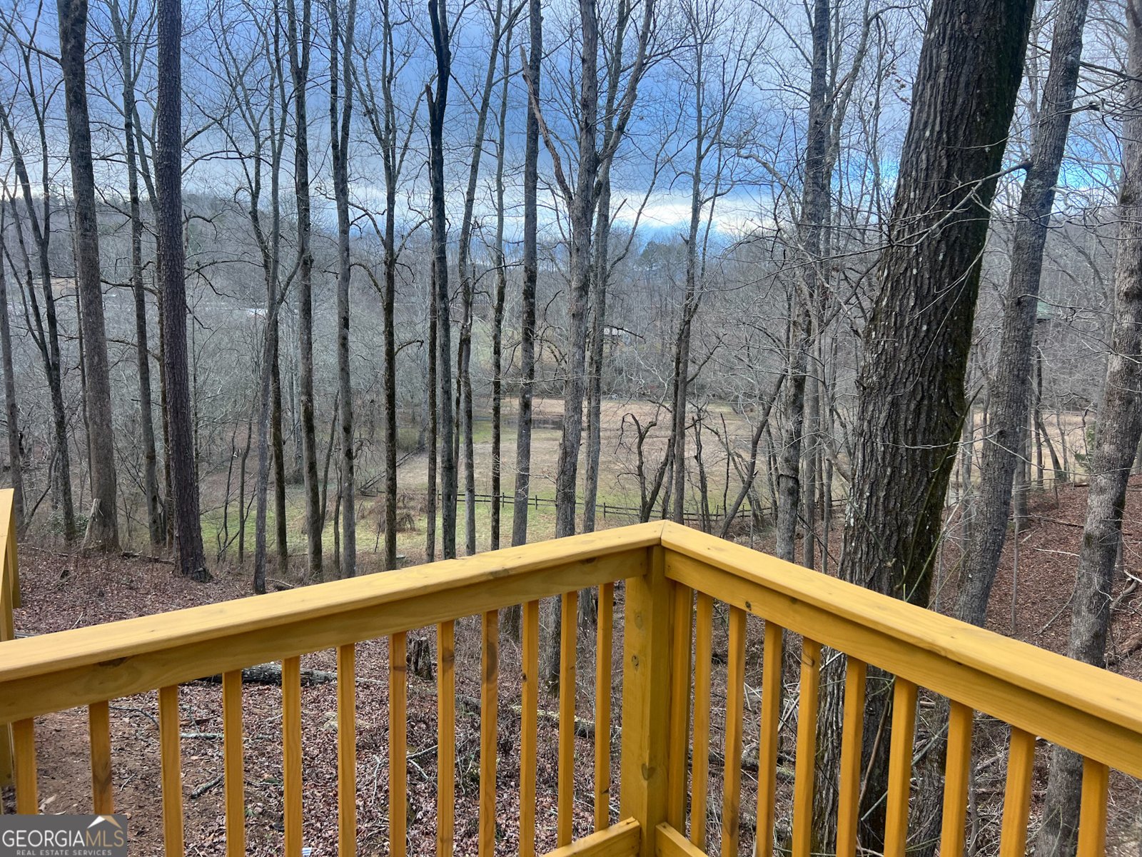 159 Rather Hill Trail Clarkesville - 33