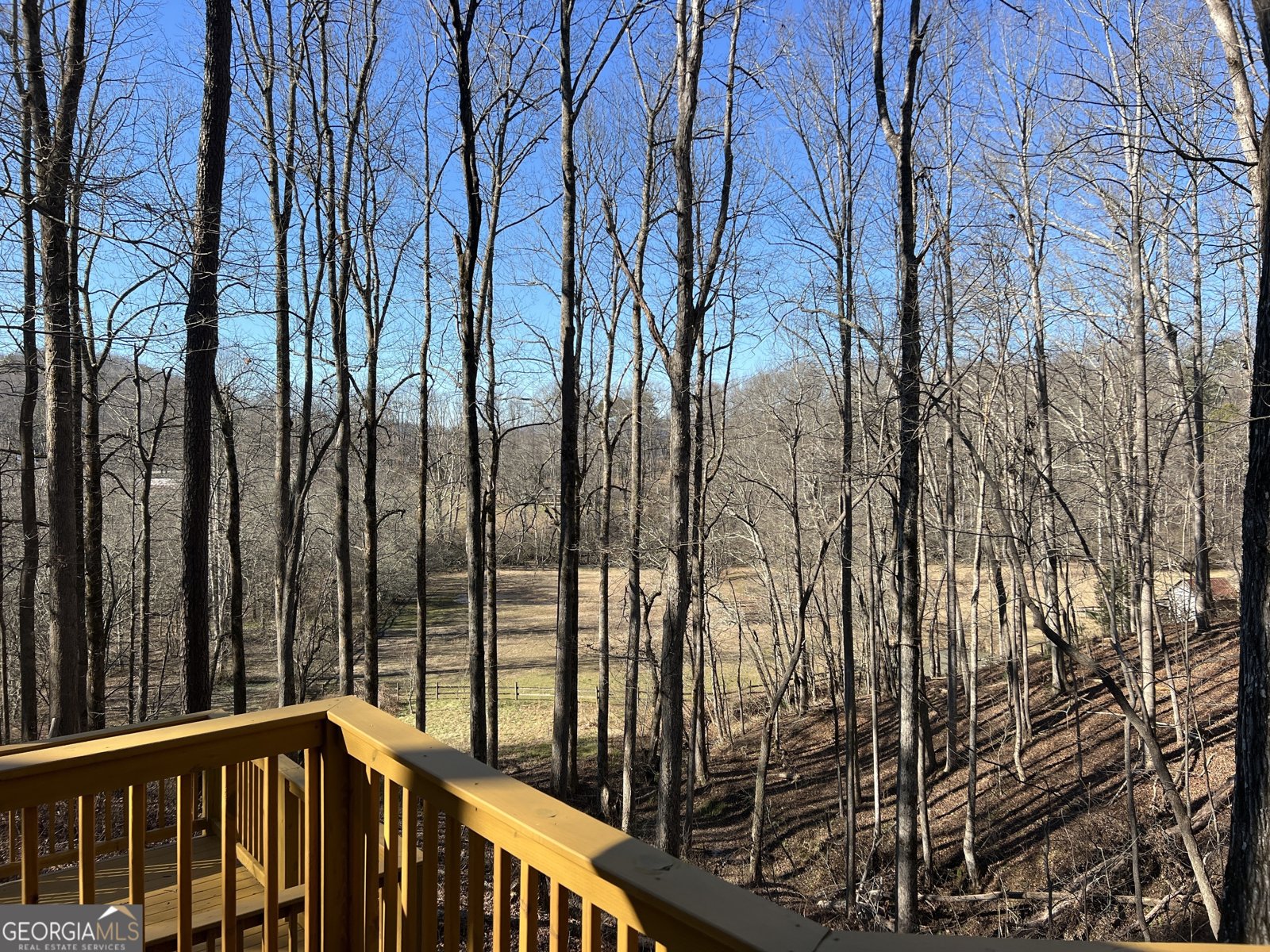 159 Rather Hill Trail Clarkesville - 34