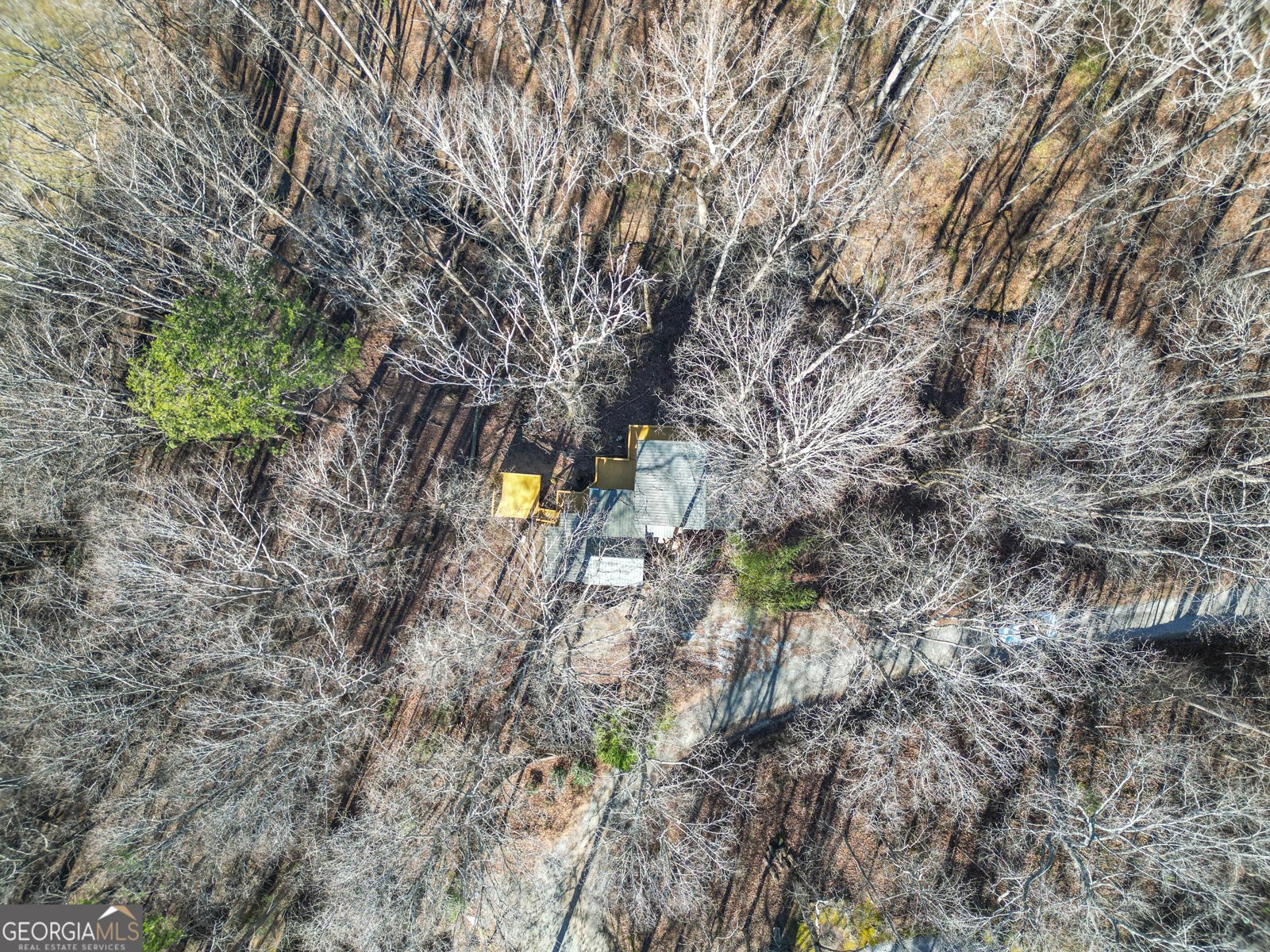 159 Rather Hill Trail Clarkesville - 40