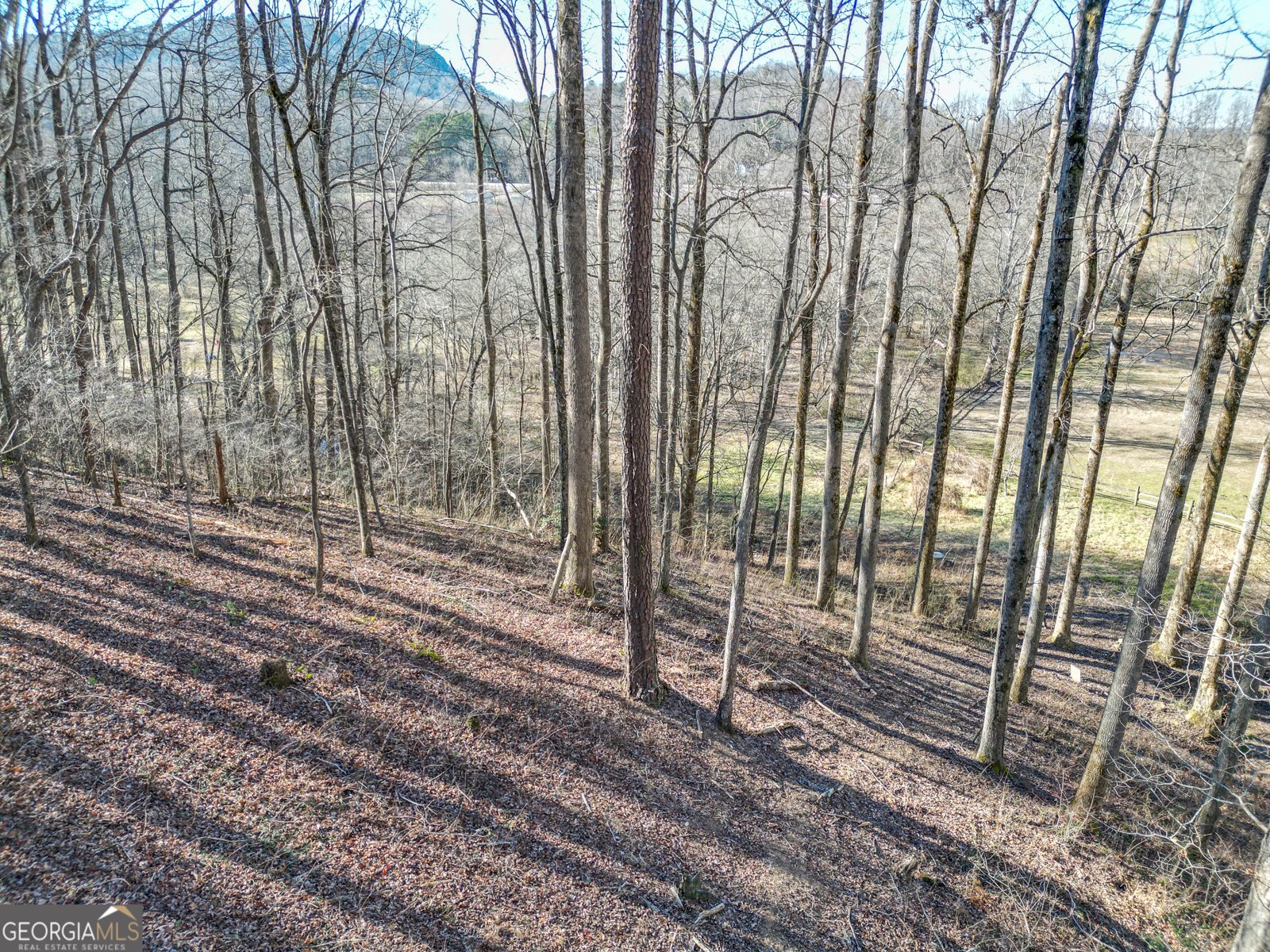 159 Rather Hill Trail Clarkesville - 41