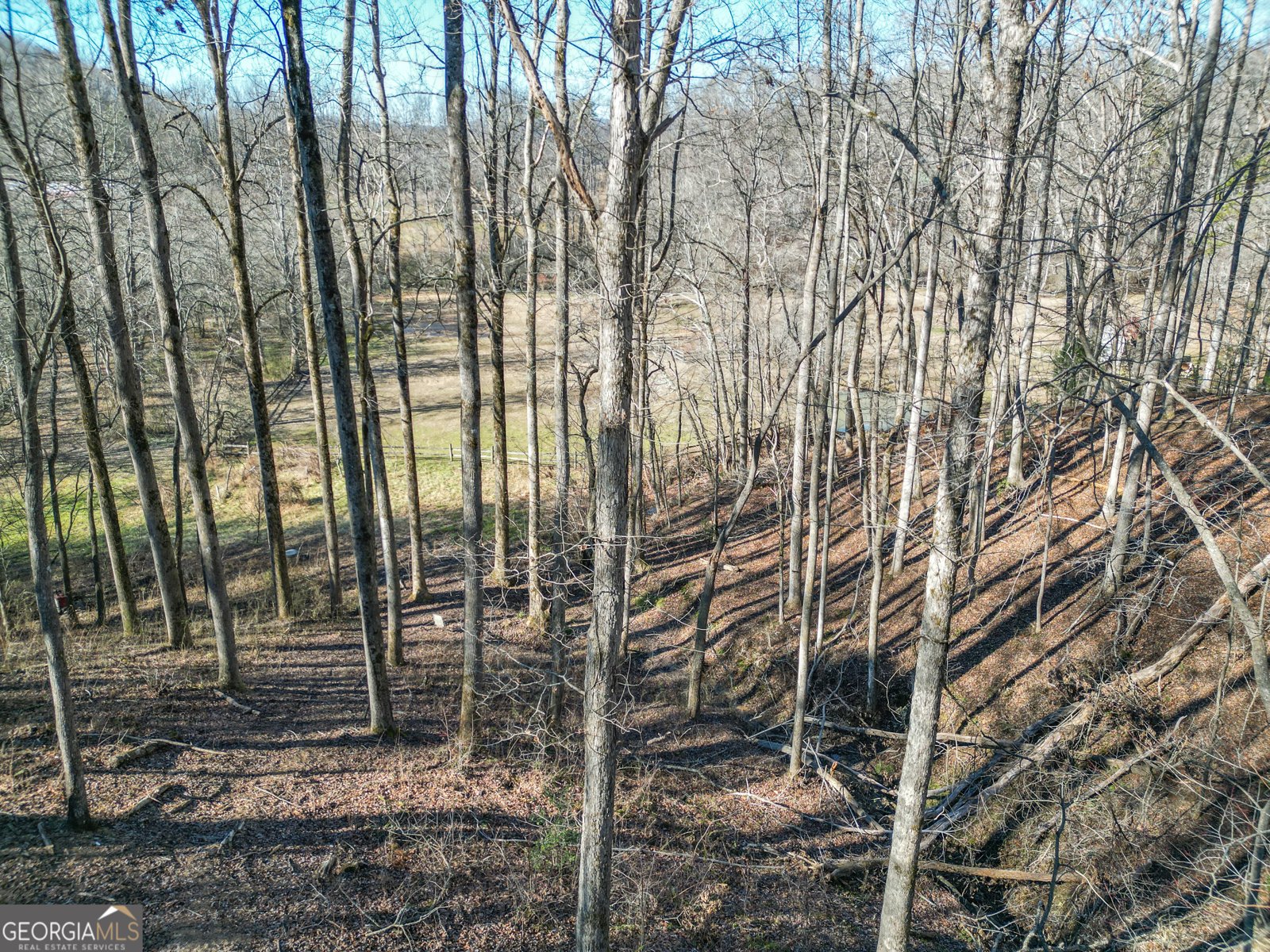 159 Rather Hill Trail Clarkesville - 42