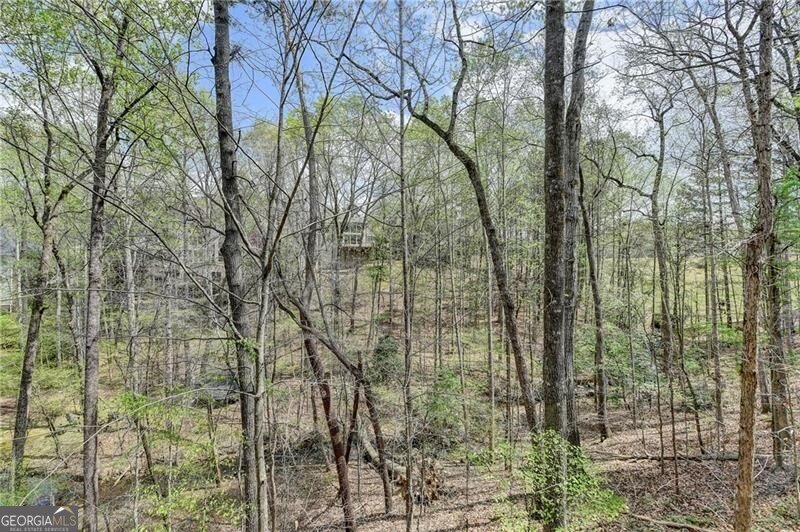 525 Water Shadow Lane Alpharetta - 57