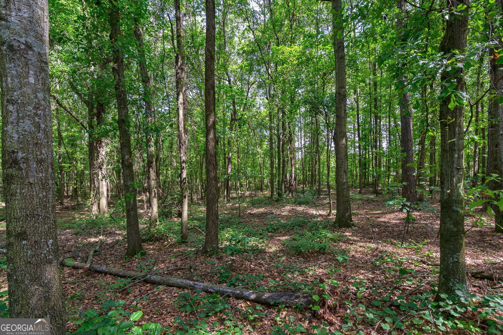 370 Wesley Chapel Road Danielsville - 10