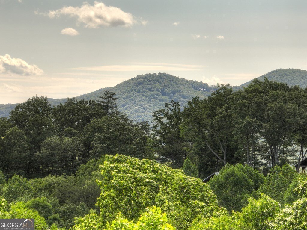 100 Smith Hill Road Blue Ridge - 11