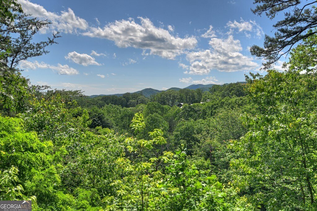 100 Smith Hill Road Blue Ridge - 25