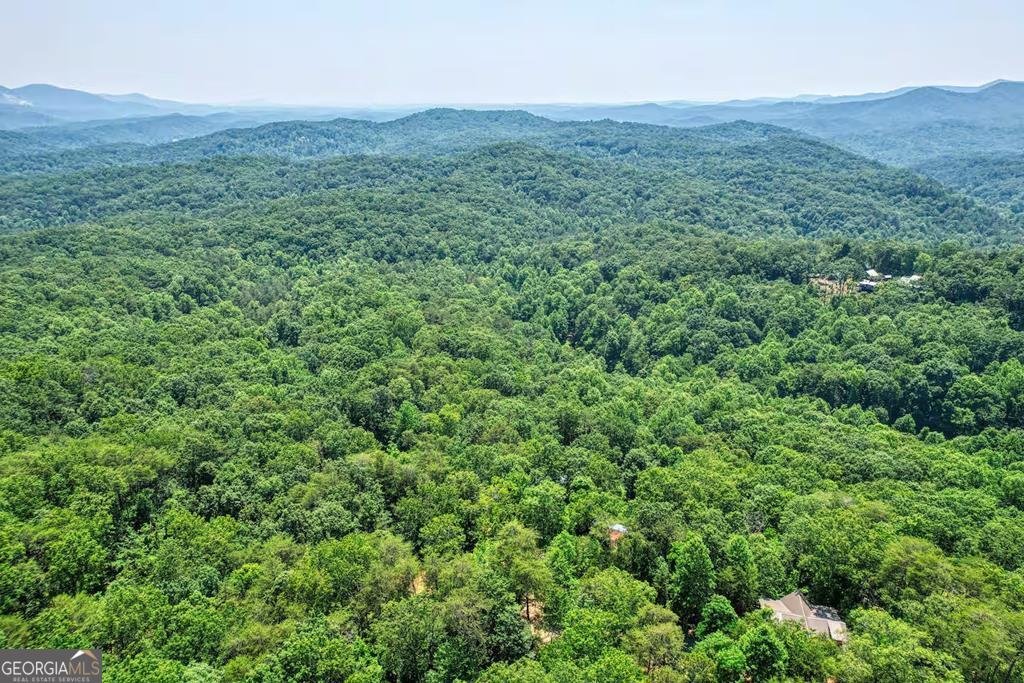 100 Smith Hill Road Blue Ridge - 26