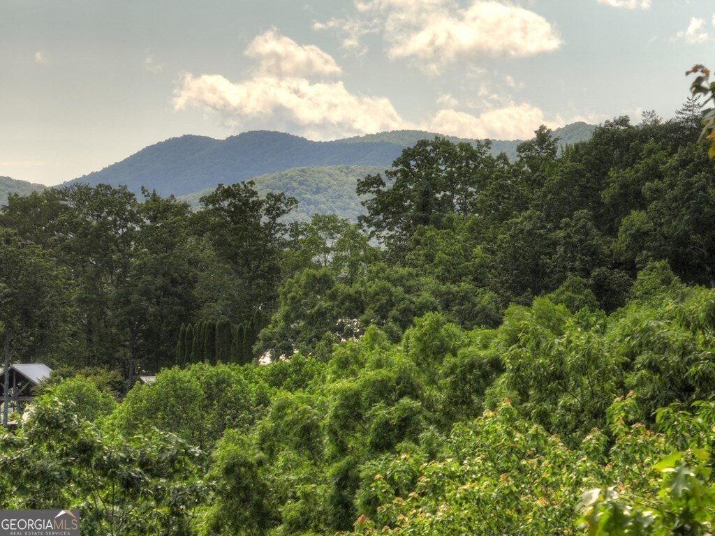 100 Smith Hill Road Blue Ridge - 3