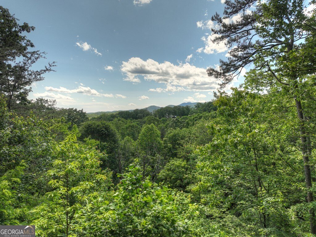100 Smith Hill Road Blue Ridge - 4