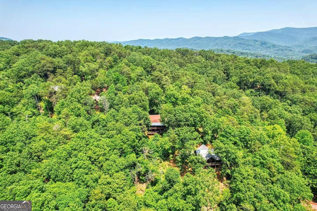 100 Smith Hill Road Blue Ridge - 40
