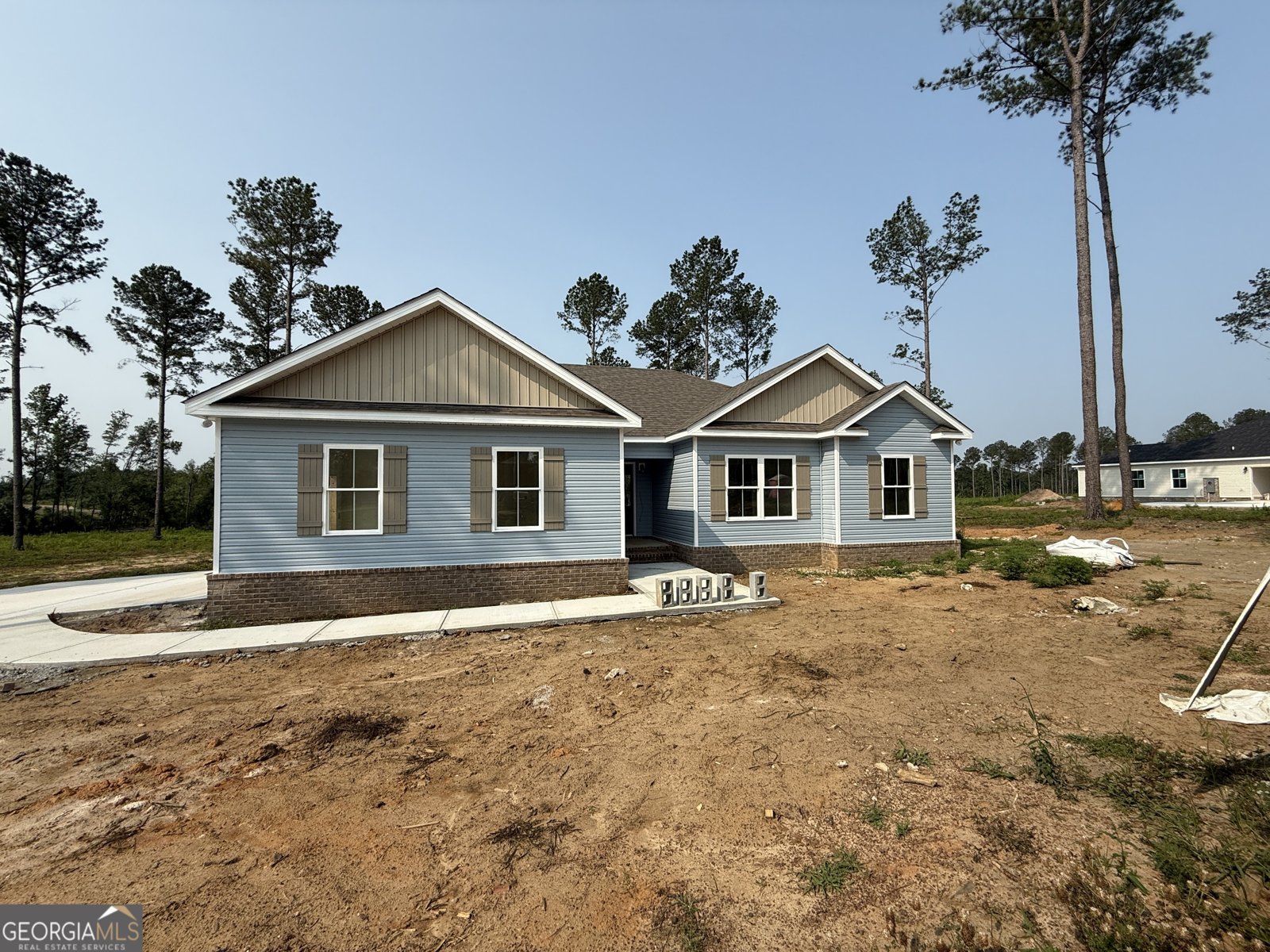LOT 8A Salem Church Road Metter - 1