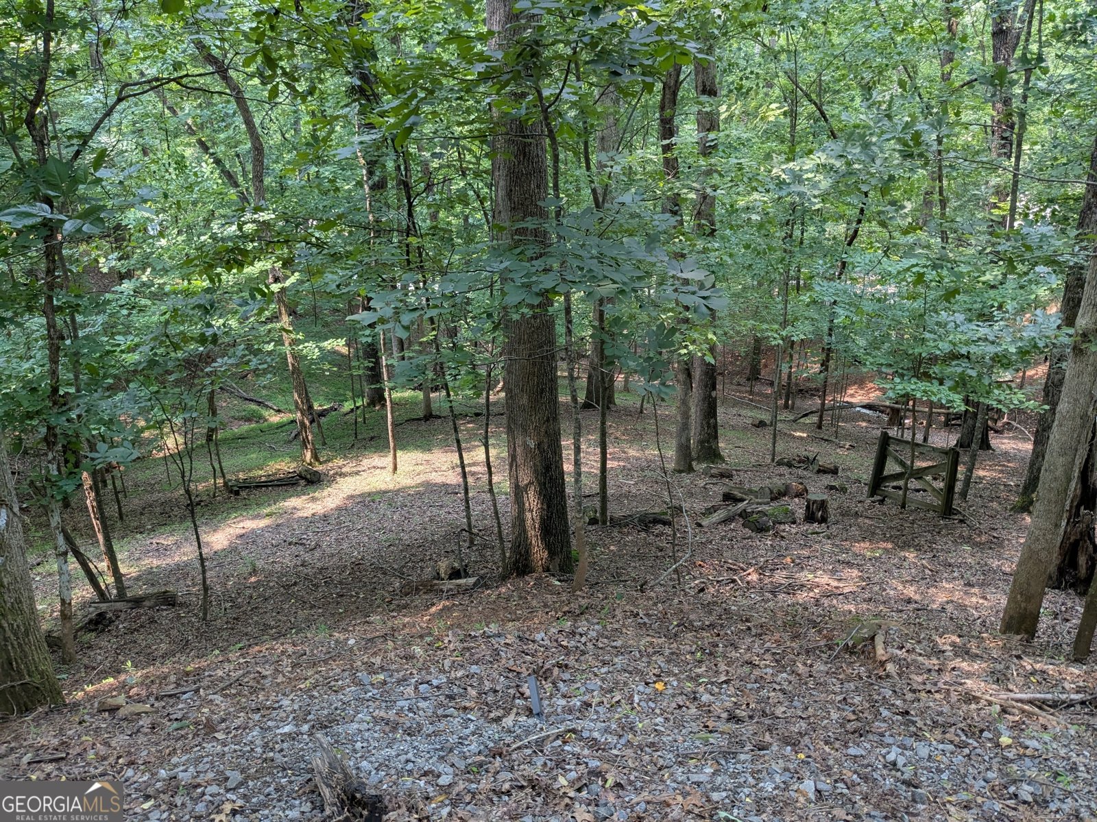 336 6th Street Ellijay - 5