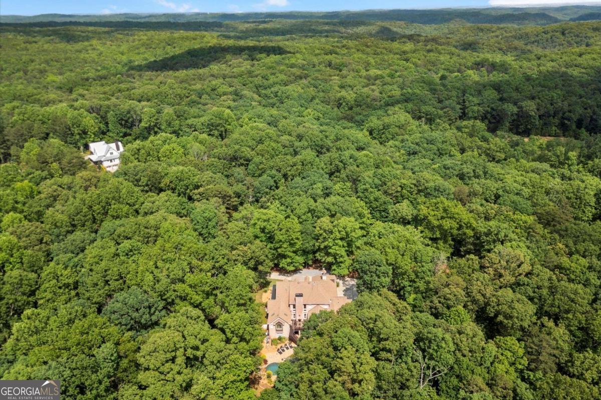 771 Rattlesnake Ridge Dawsonville - 10