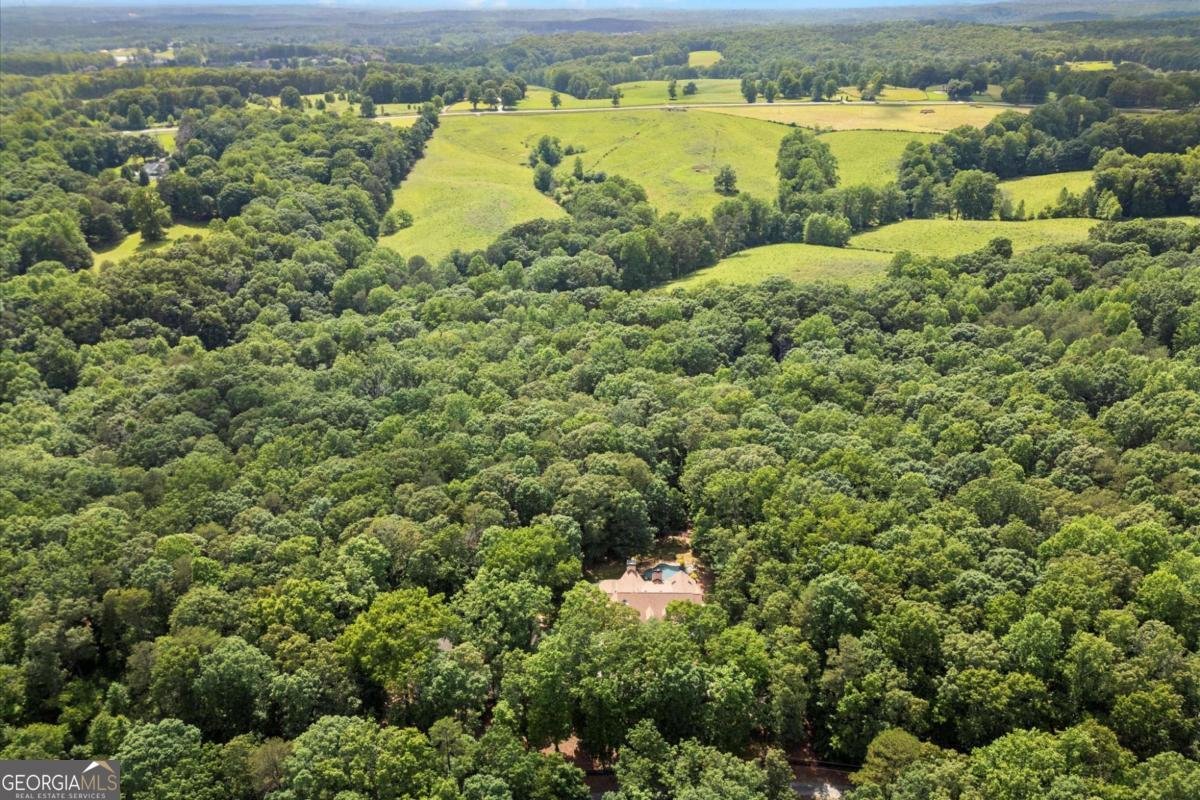 771 Rattlesnake Ridge Dawsonville - 9