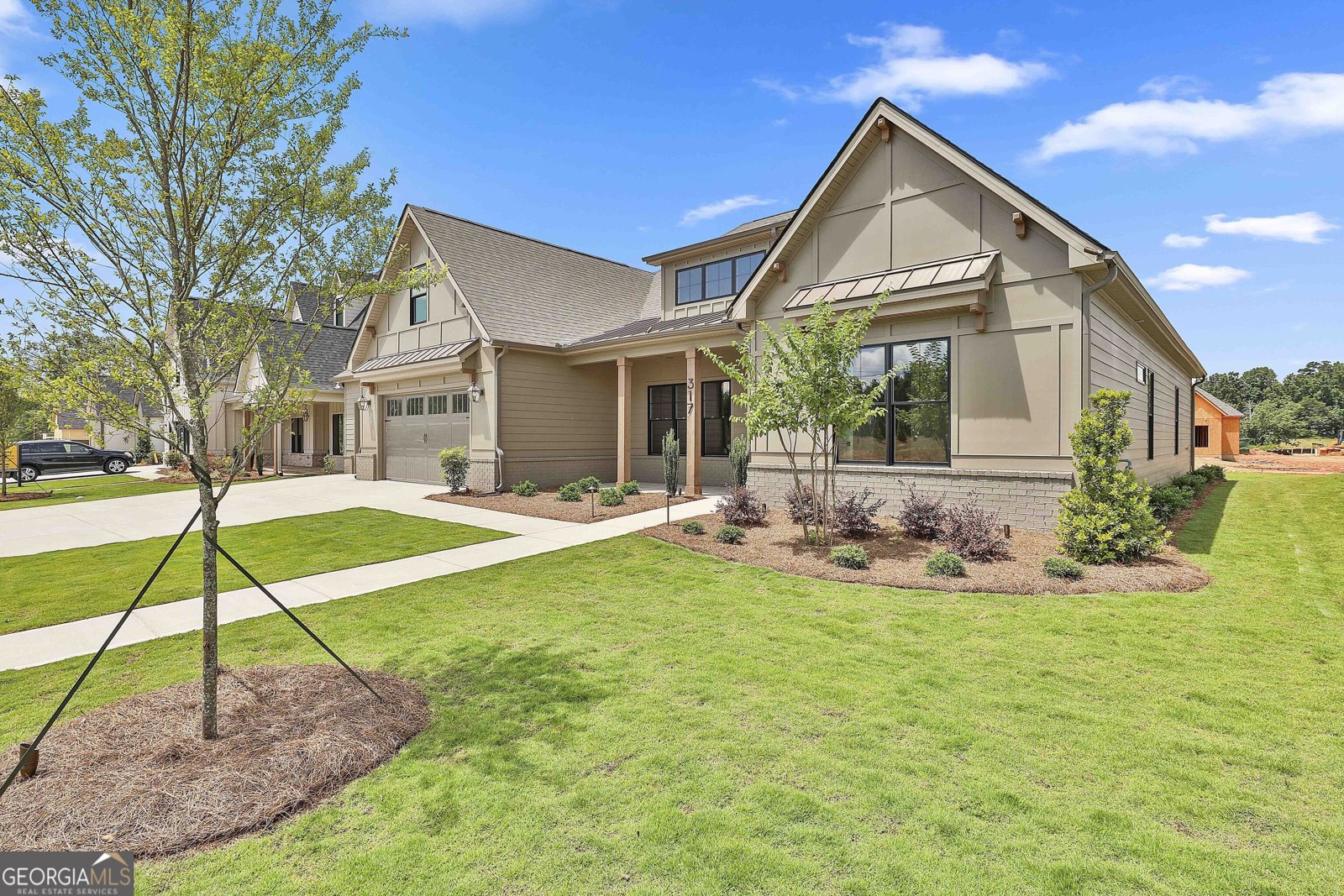 317 Ruffian Circle Peachtree City - 3