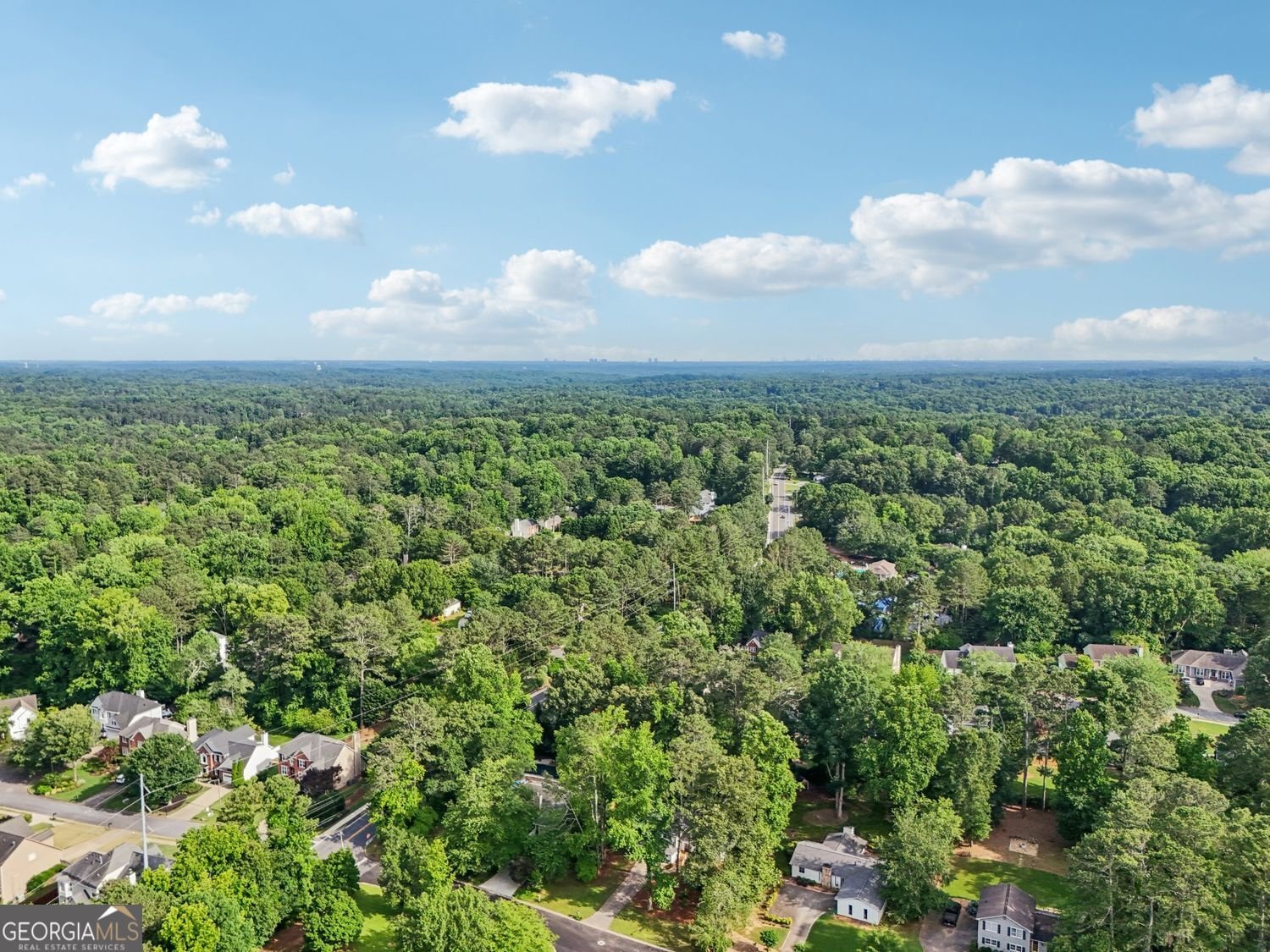 4363 Old Mabry Road Northeast Road Roswell - 49