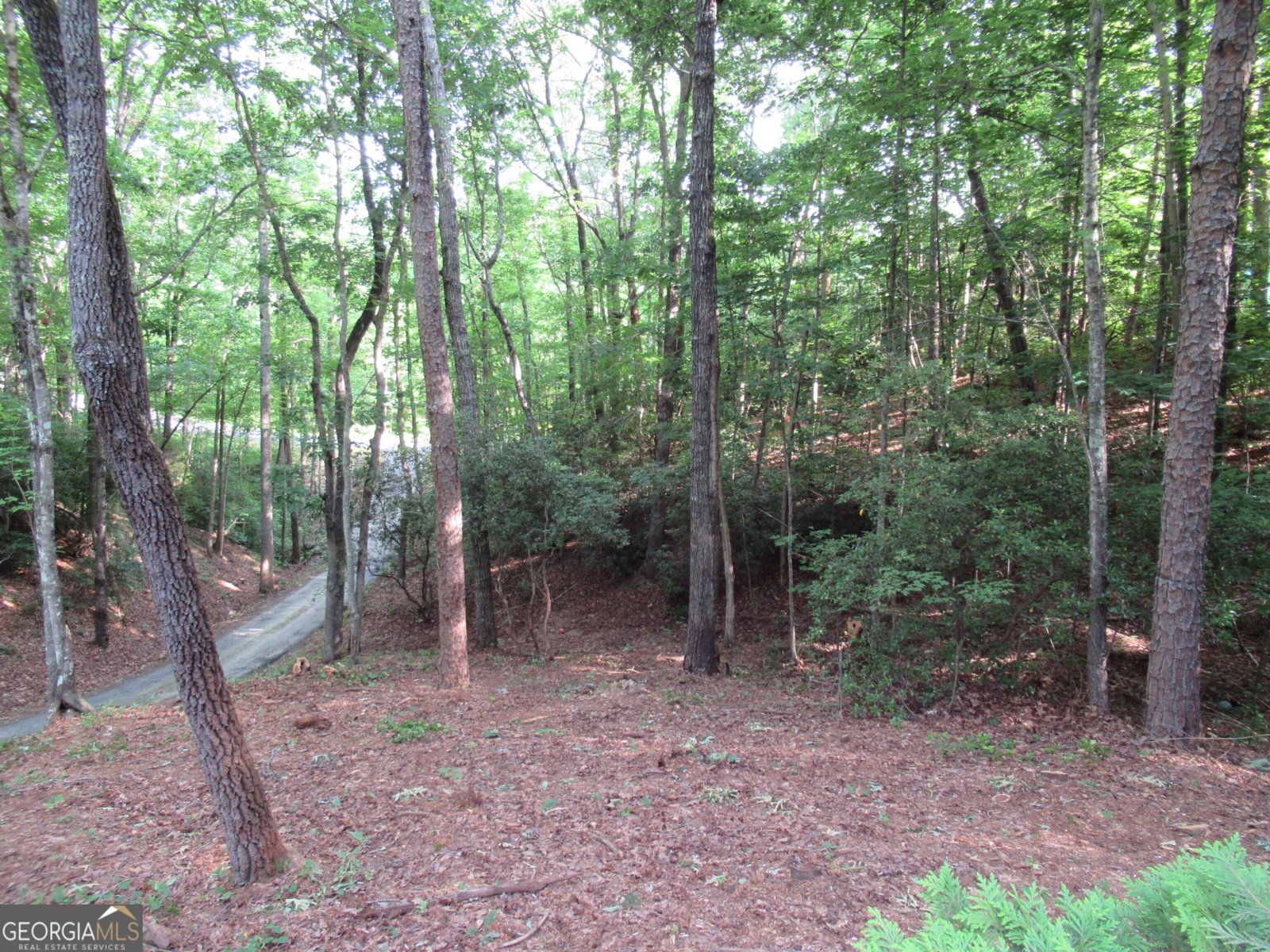 152 Royal Oaks Lane Dahlonega - 10