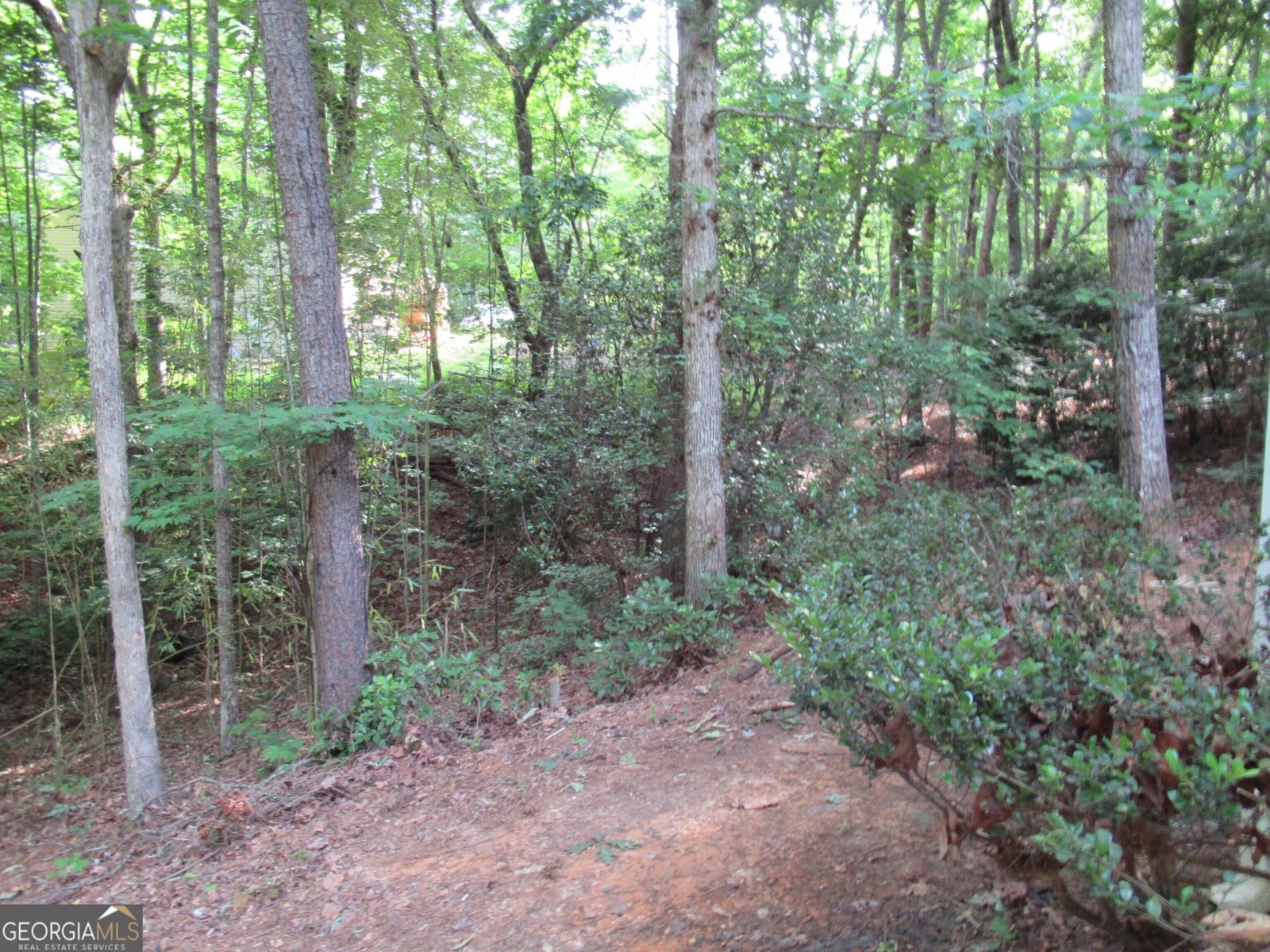 152 Royal Oaks Lane Dahlonega - 11