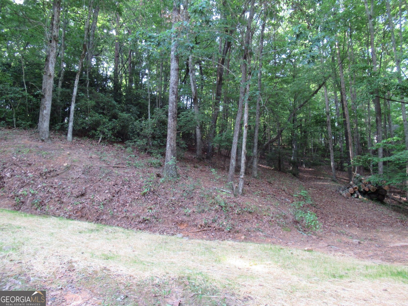 152 Royal Oaks Lane Dahlonega - 3