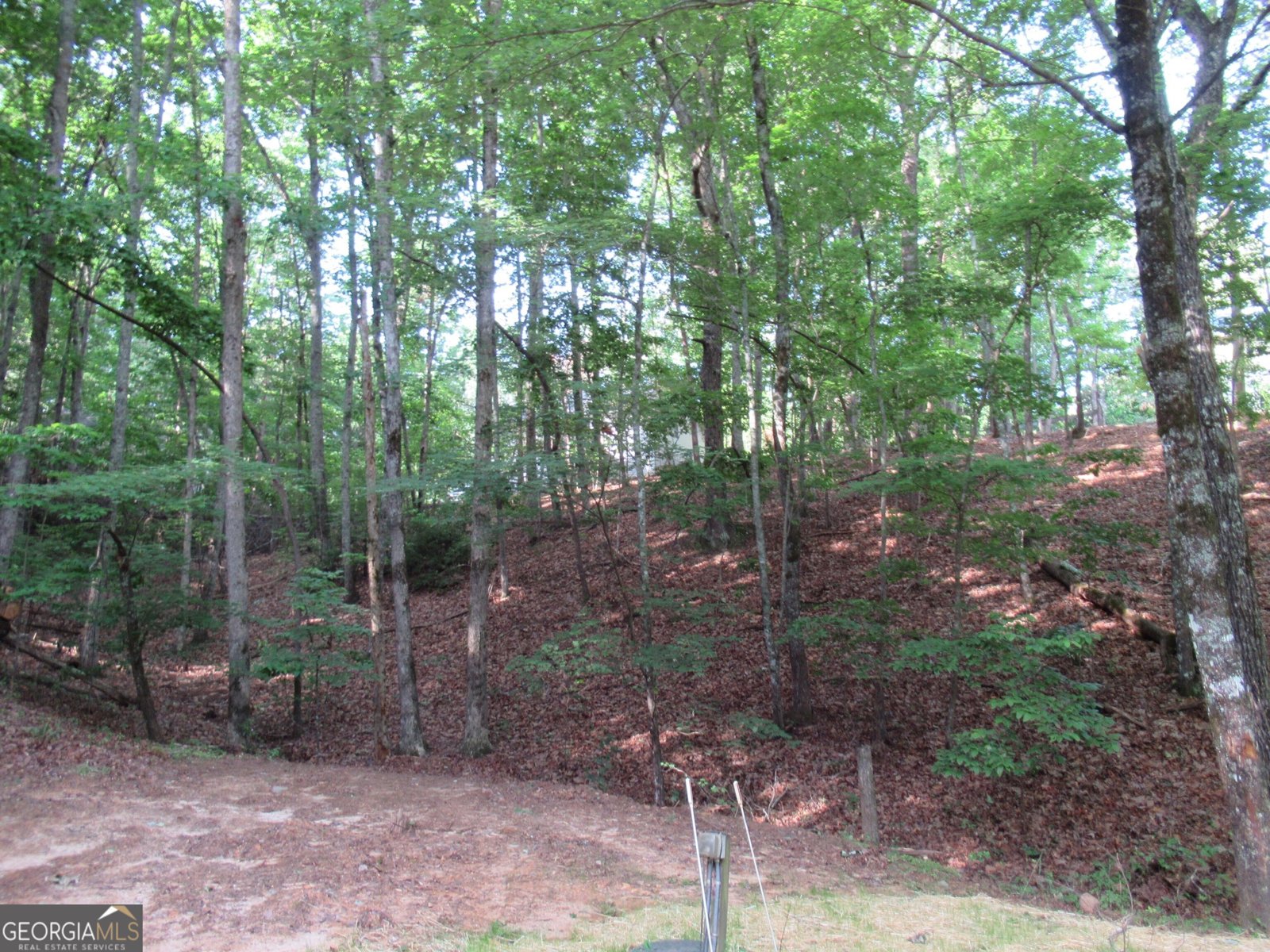 152 Royal Oaks Lane Dahlonega - 4