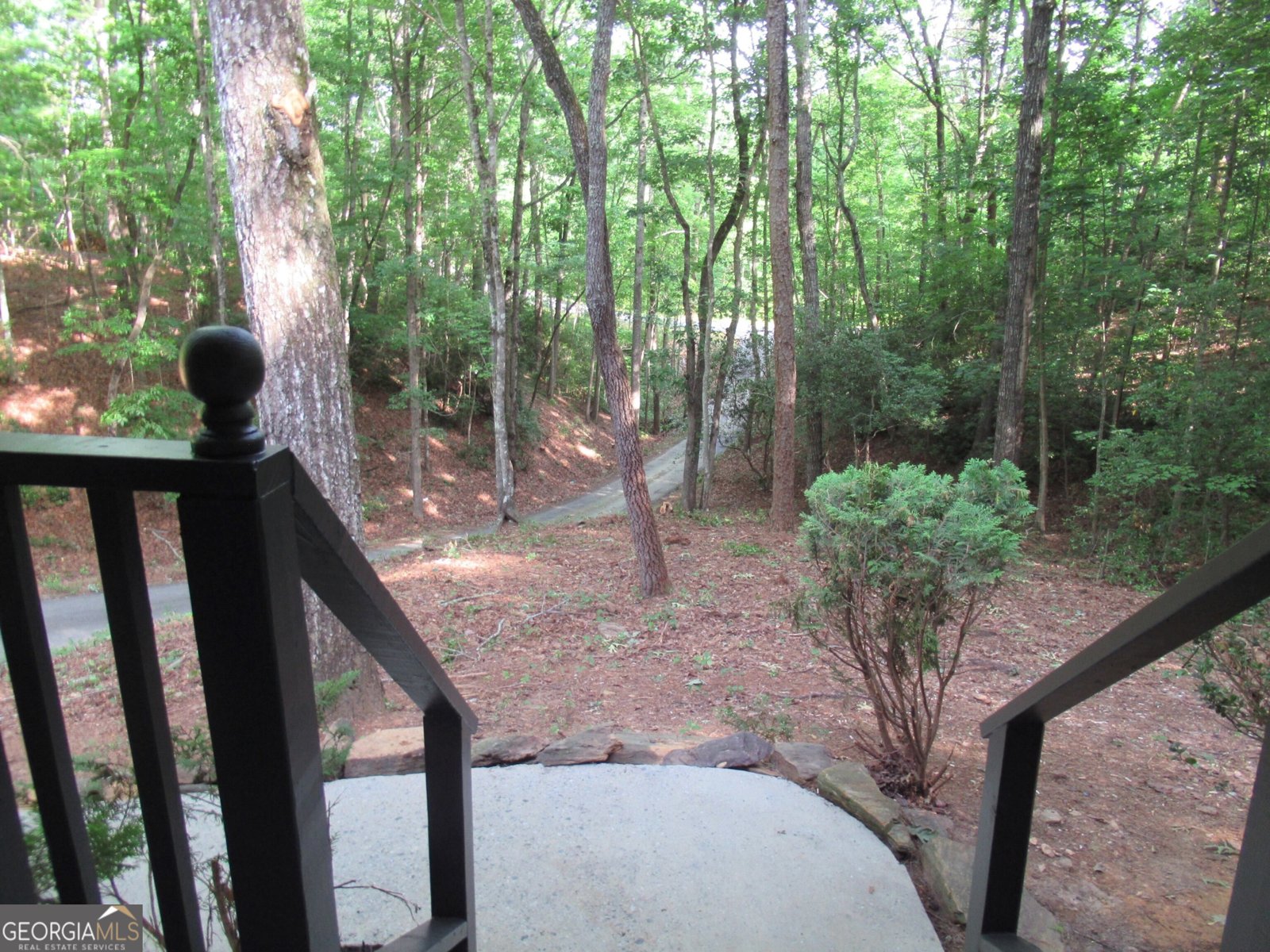 152 Royal Oaks Lane Dahlonega - 48