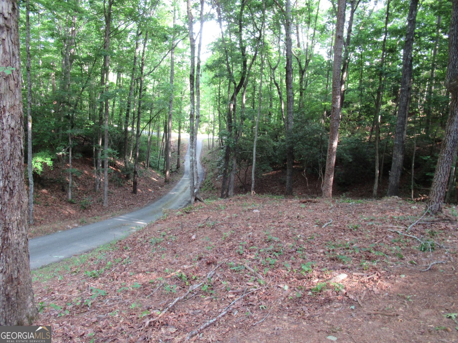 152 Royal Oaks Lane Dahlonega - 9