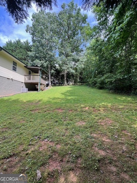 258 Eden Woods Road Clarkesville - 32
