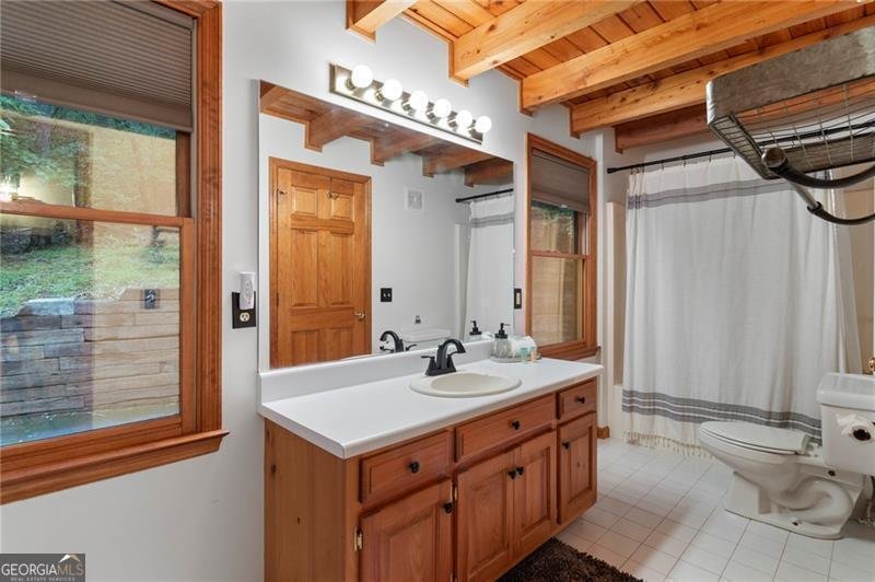 54 Hickory Trail Big Canoe - 11