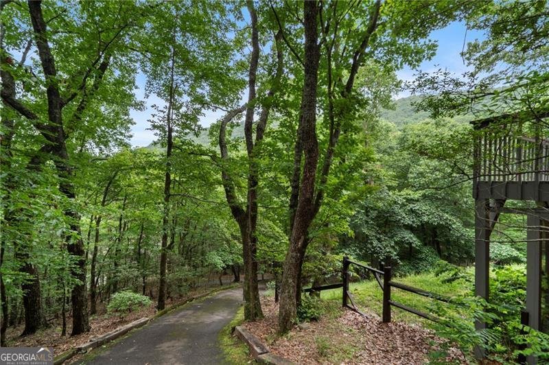 54 Hickory Trail Big Canoe - 23