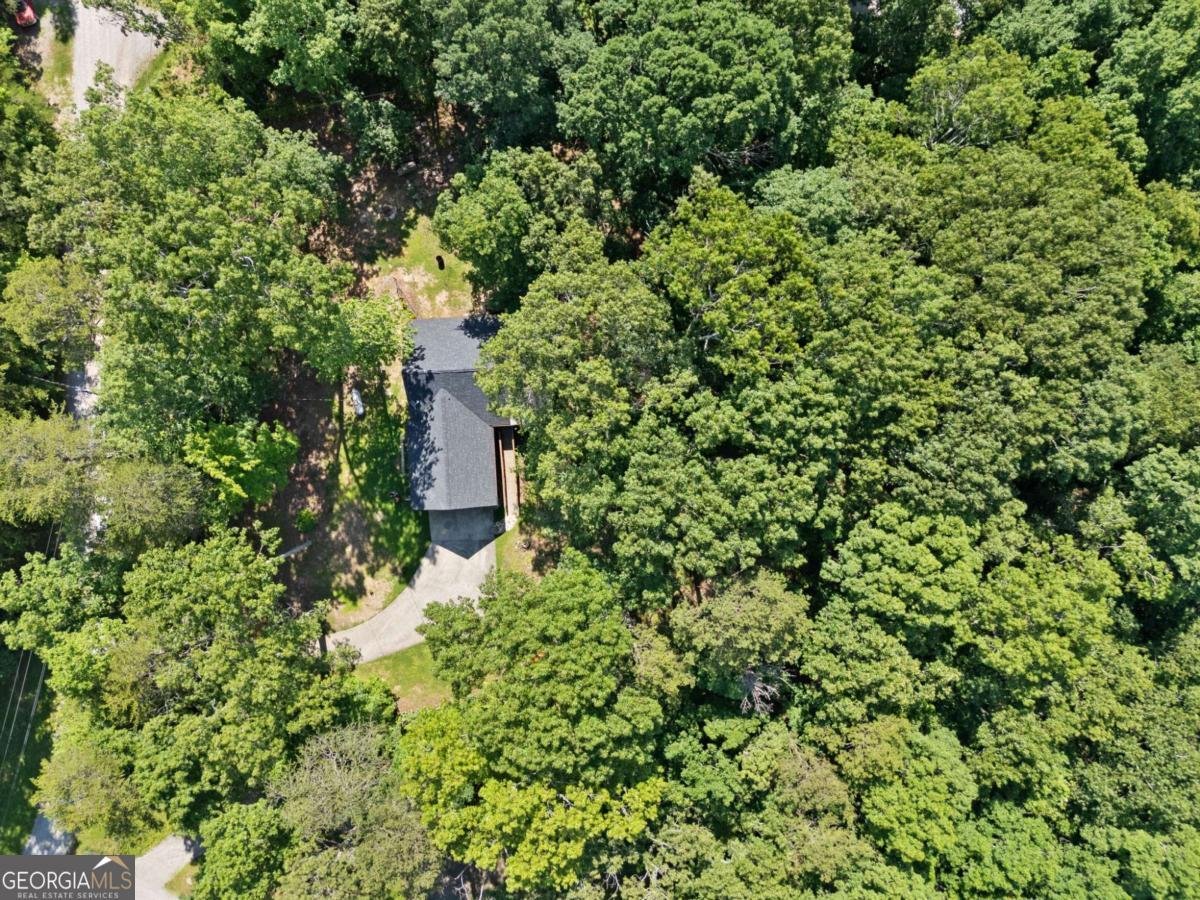 155 Rock Creek Drive Jasper - 5