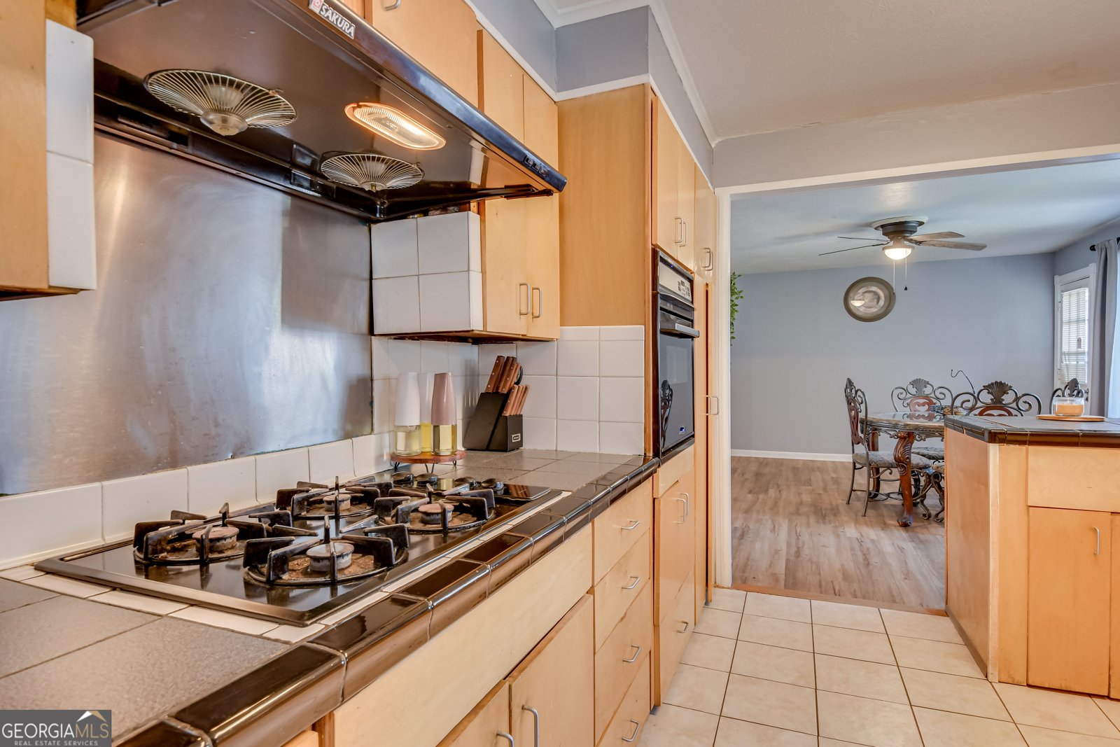 203 Blue Ridge Court Augusta - 17