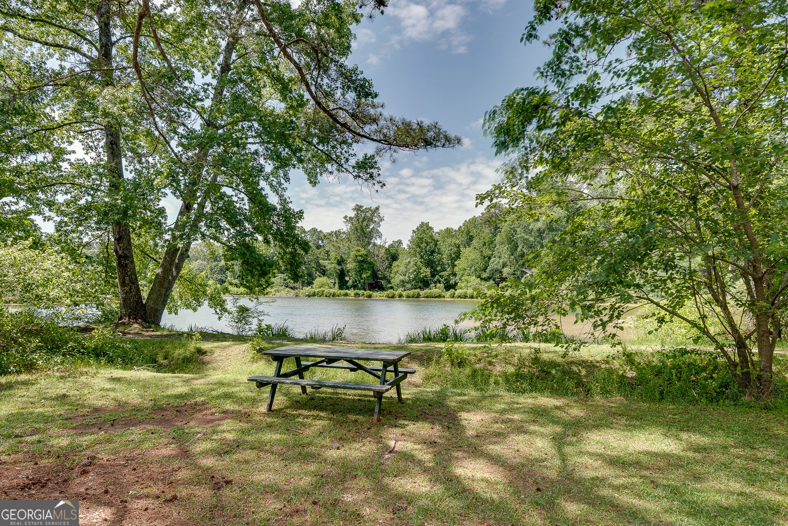 4621 Lakeshore Drive Pine Lake - 2
