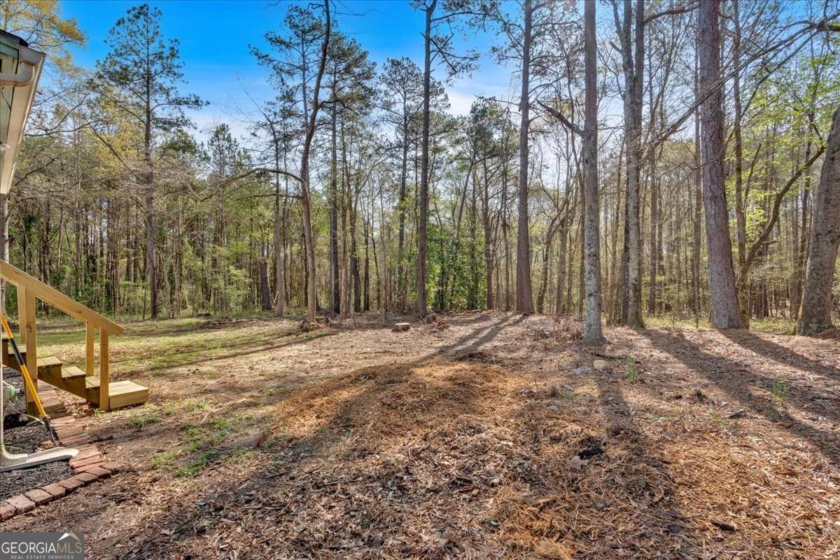 63 WHEELER Road Rockmart - 22