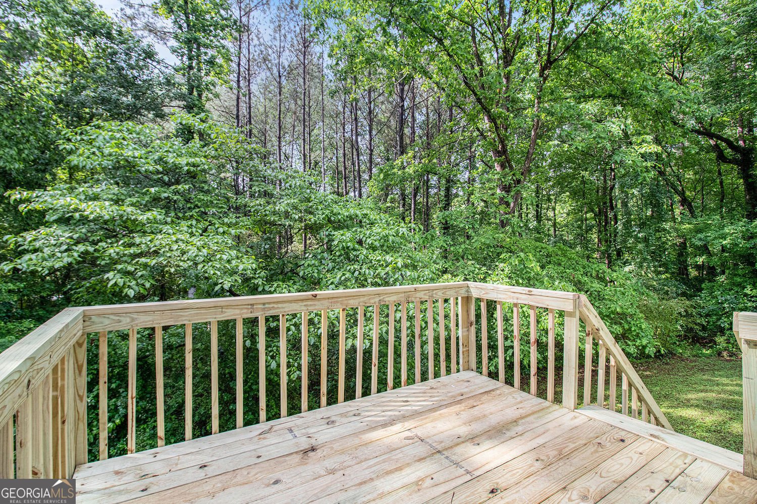2722 Spring Side Court Douglasville - 25