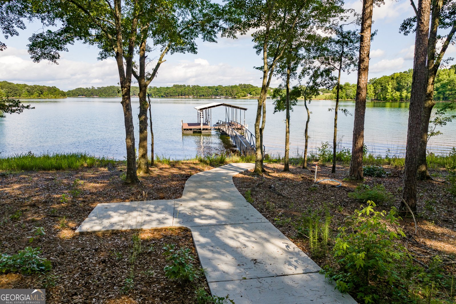 123 Carlota Way Hartwell - 43