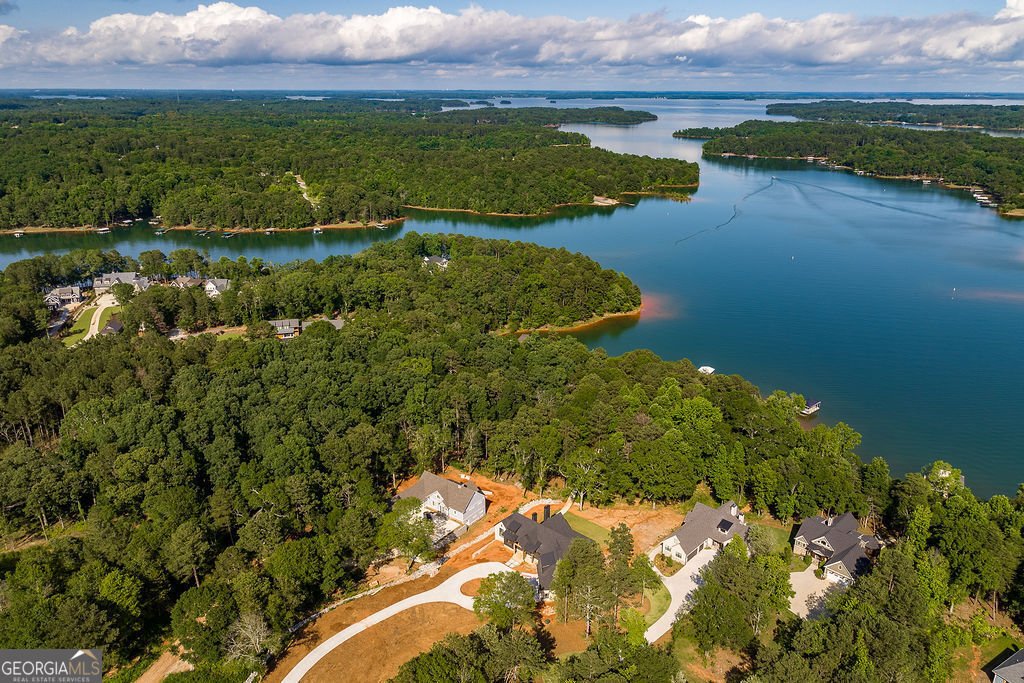 123 Carlota Way Hartwell - 6