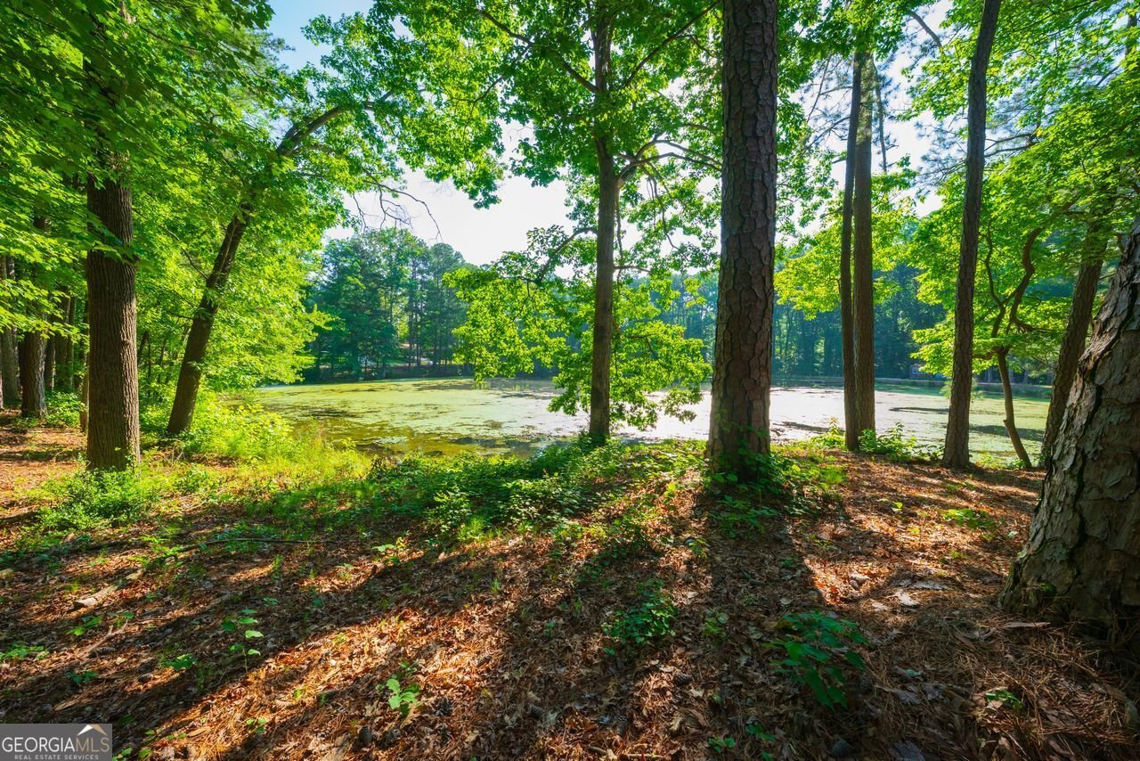 1382 VARNER Road Marietta - 31