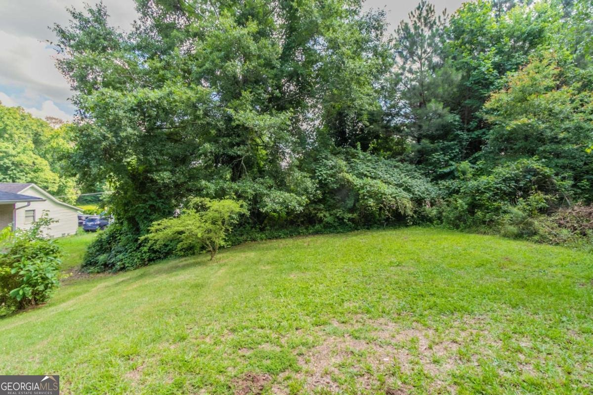 2957 Browns Mill Road Atlanta - 19