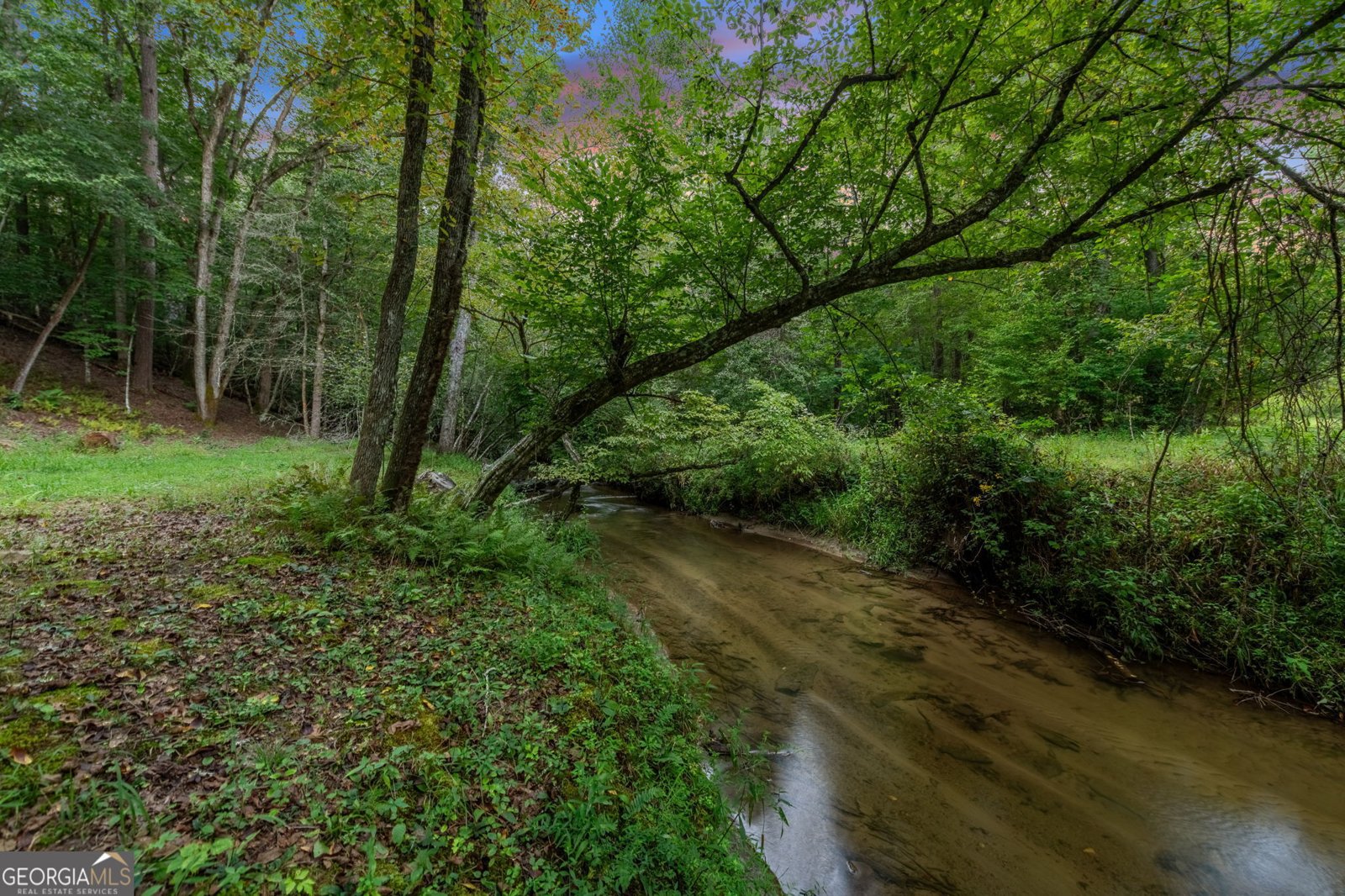 215 Twin Creeks Road Blue Ridge - 2