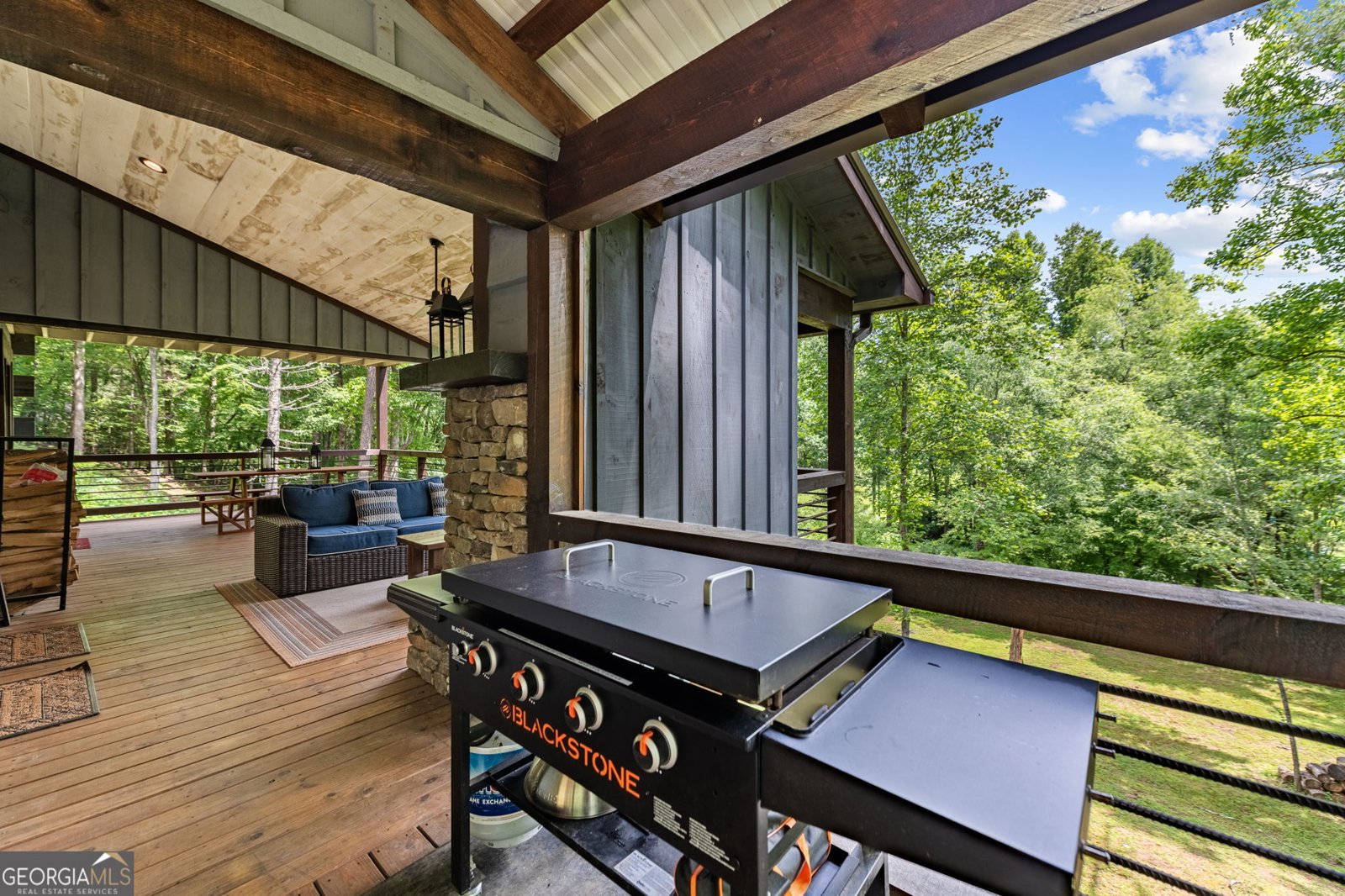 215 Twin Creeks Road Blue Ridge - 47
