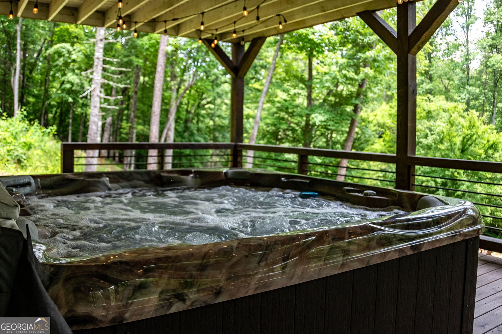 215 Twin Creeks Road Blue Ridge - 56