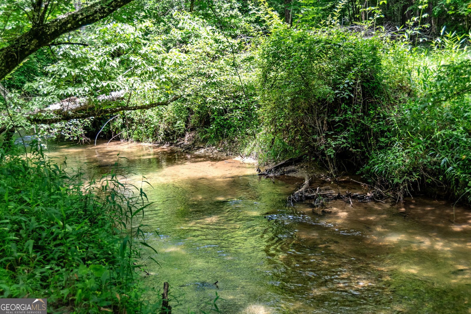 215 Twin Creeks Road Blue Ridge - 69