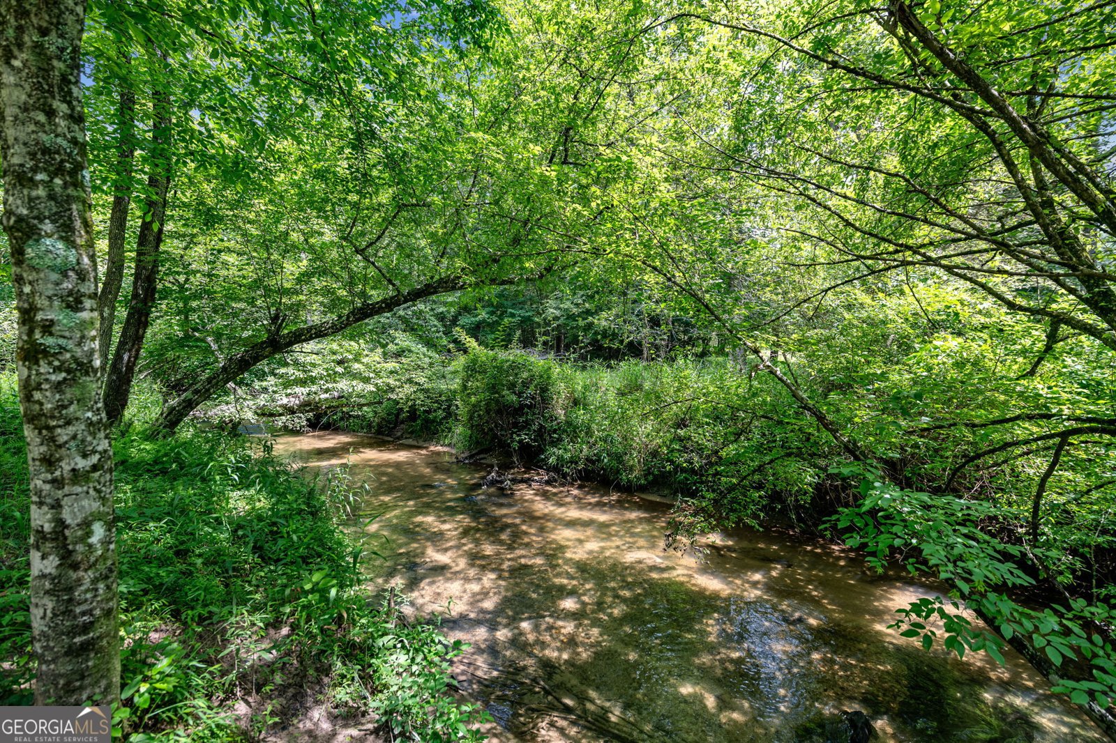 215 Twin Creeks Road Blue Ridge - 70